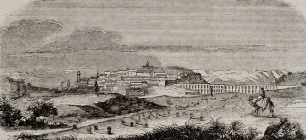 Médéa